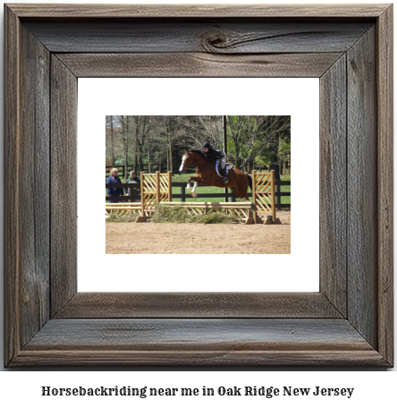 horseback riding near me in Oak Ridge, New Jersey